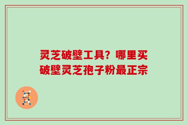灵芝破壁工具?哪里买破壁灵芝孢子粉最正宗