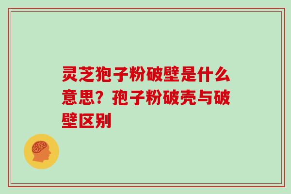 灵芝狍子粉破壁是什么意思?孢子粉破壳与破壁区别