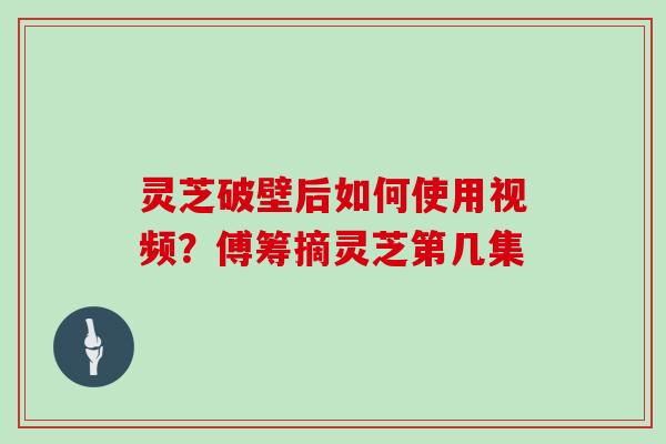 灵芝破壁后如何使用视频？傅筹摘灵芝第几集