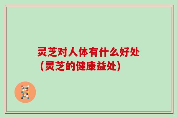 灵芝对人体有什么好处 (灵芝的健康益处)