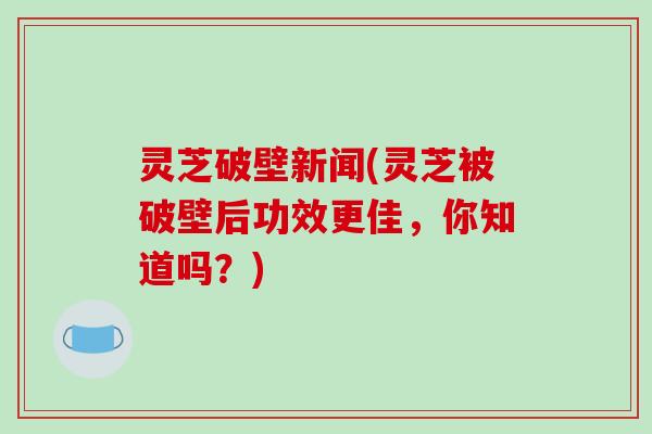 灵芝破壁新闻(灵芝被破壁后功效更佳，你知道吗？)