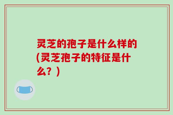 灵芝的孢子是什么样的(灵芝孢子的特征是什么?)