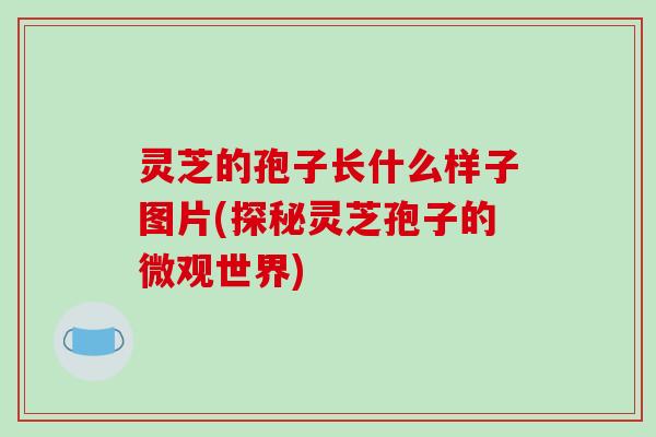 灵芝的孢子长什么样子图片(探秘灵芝孢子的微观世界)