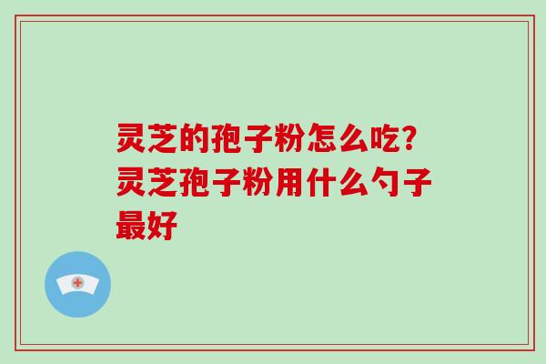 灵芝的孢子粉怎么吃?灵芝孢子粉用什么勺子最好