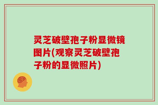 灵芝破壁孢子粉显微镜图片(观察灵芝破壁孢子粉的显微照片)