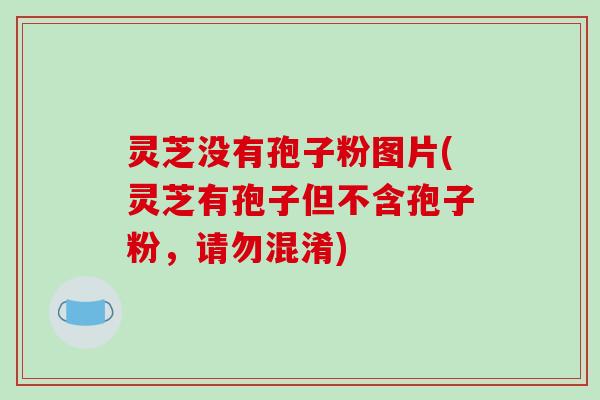 灵芝没有孢子粉图片(灵芝有孢子但不含孢子粉,请勿混淆)