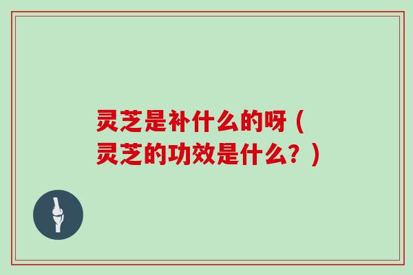 灵芝是补什么的呀 (灵芝的功效是什么?)