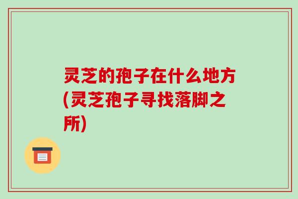 灵芝的孢子在什么地方(灵芝孢子寻找落脚之所)