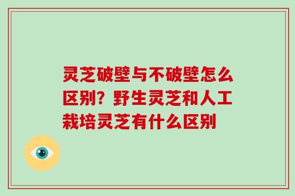 灵芝破壁与不破壁怎么区别?野生灵芝和人工栽培灵芝有什么区别