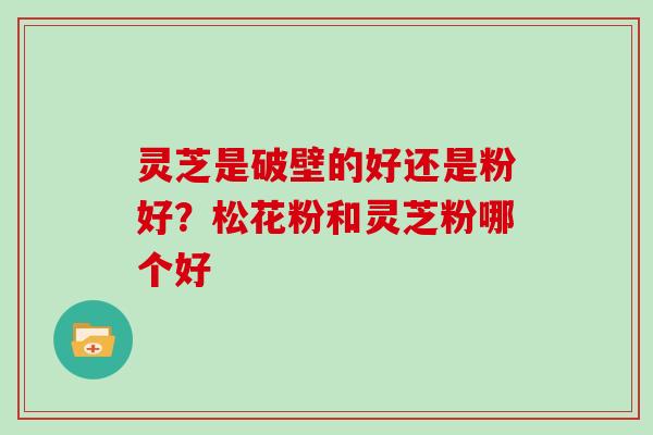 灵芝是破壁的好还是粉好？松花粉和灵芝粉哪个好