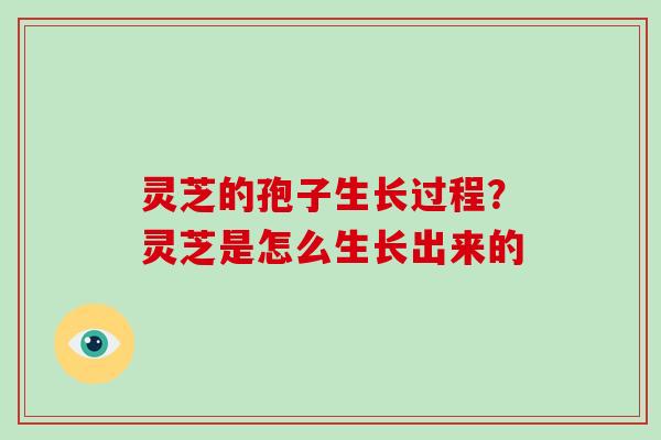 灵芝的孢子生长过程?灵芝是怎么生长出来的