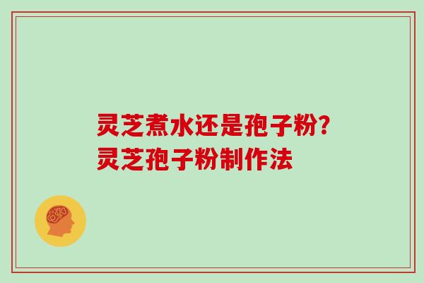 灵芝煮水还是孢子粉?灵芝孢子粉制作法