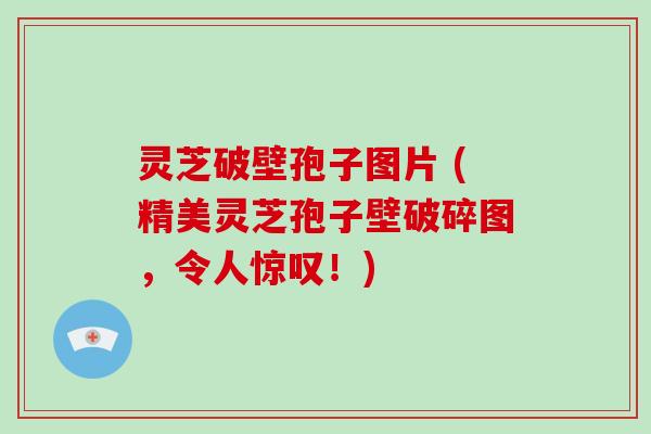 灵芝破壁孢子图片 (精美灵芝孢子壁破碎图，令人惊叹！)