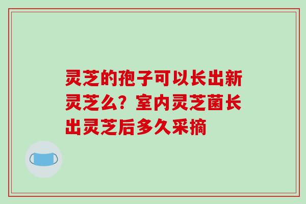 灵芝的孢子可以长出新灵芝么?室内灵芝菌长出灵芝后多久采摘