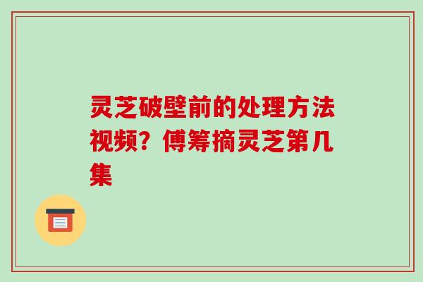 灵芝破壁前的处理方法视频？傅筹摘灵芝第几集