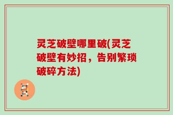 灵芝破壁哪里破(灵芝破壁有妙招,告别繁琐破碎方法)