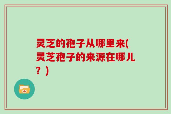 灵芝的孢子从哪里来(灵芝孢子的来源在哪儿?)