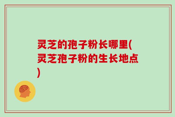 灵芝的孢子粉长哪里(灵芝孢子粉的生长地点)