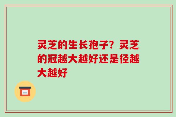 灵芝的生长孢子？灵芝的冠越大越好还是径越大越好
