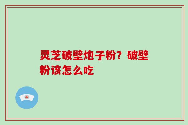 灵芝破壁炮子粉?破壁粉该怎么吃
