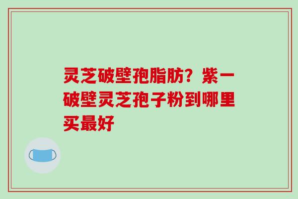 灵芝破壁孢脂肪?紫一破壁灵芝孢子粉到哪里买最好
