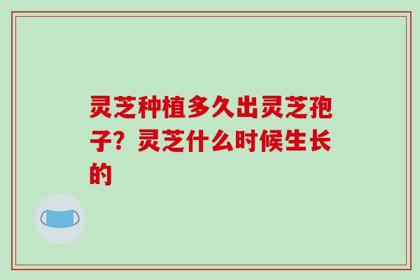 灵芝种植多久出灵芝孢子?灵芝什么时候生长的