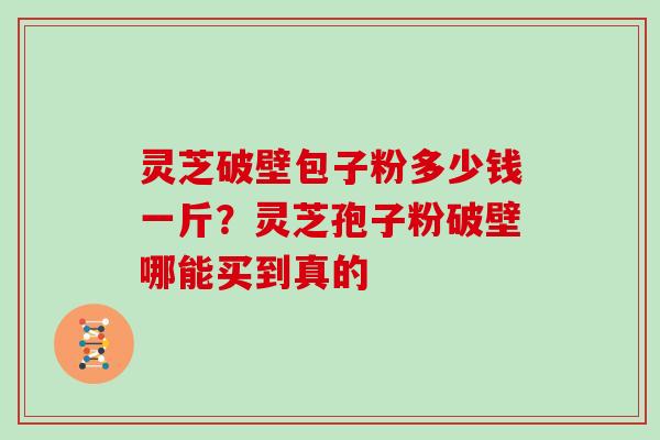 灵芝破壁包子粉多少钱一斤?灵芝孢子粉破壁哪能买到真的