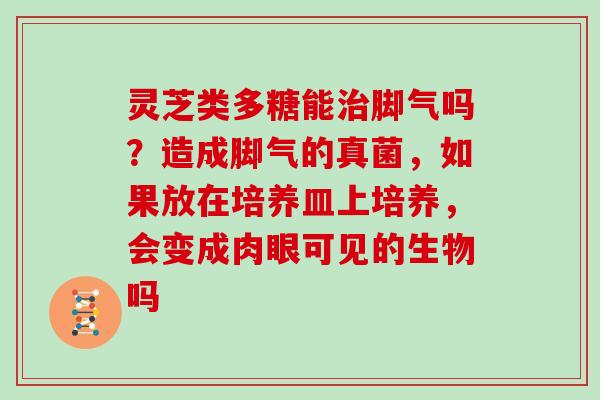 灵芝类多糖能治脚气吗？造成脚气的真菌，如果放在培养皿上培养，会变成肉眼可见的生物吗