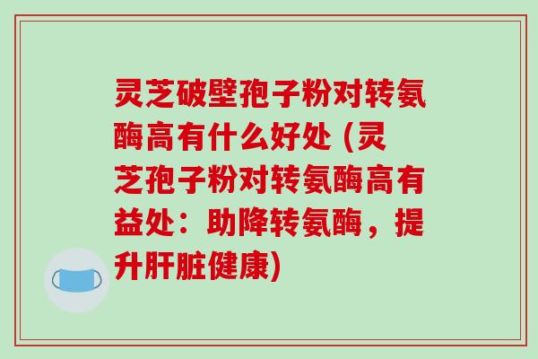 灵芝破壁孢子粉对转氨酶高有什么好处 (灵芝孢子粉对转氨酶高有益处:助降转氨酶,提升肝脏健康)