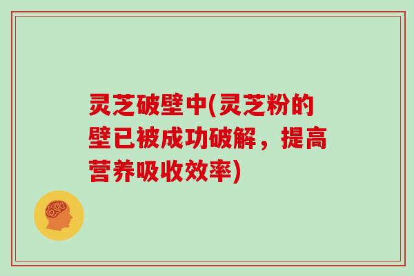 灵芝破壁中(灵芝粉的壁已被成功破解，提高营养吸收效率)