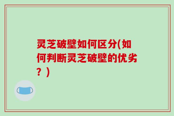 灵芝破壁如何区分(如何判断灵芝破壁的优劣?)