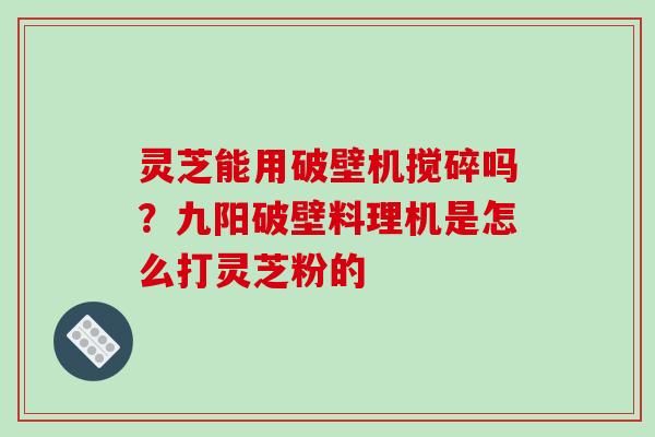 灵芝能用破壁机搅碎吗?九阳破壁料理机是怎么打灵芝粉的