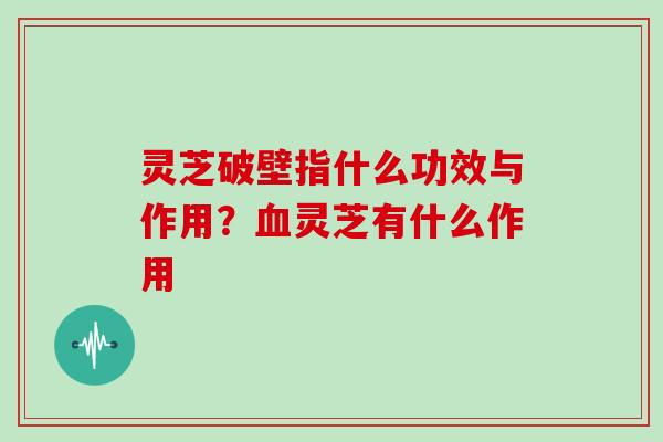 灵芝破壁指什么功效与作用?血灵芝有什么作用