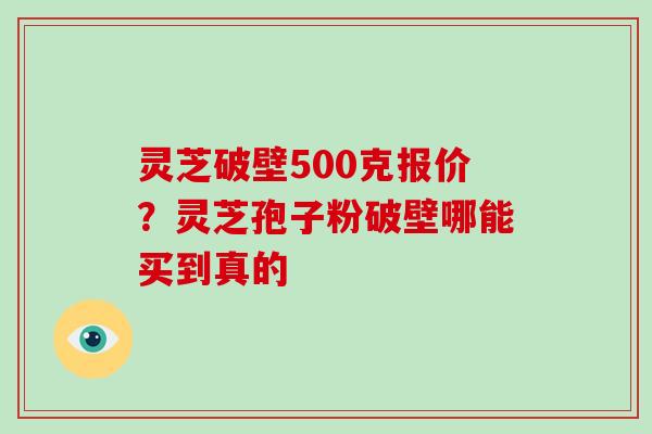 灵芝破壁500克报价?灵芝孢子粉破壁哪能买到真的