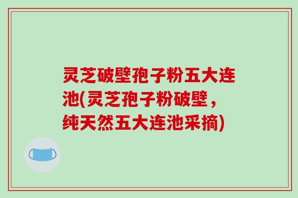 灵芝破壁孢子粉五大连池(灵芝孢子粉破壁,纯天然五大连池采摘)