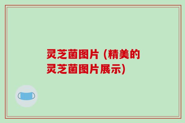 灵芝菌图片 (精美的灵芝菌图片展示)