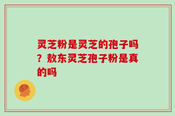 灵芝粉是灵芝的孢子吗?敖东灵芝孢子粉是真的吗