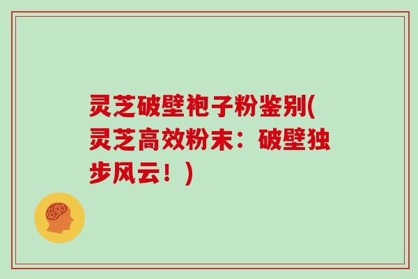 灵芝破壁袍子粉鉴别(灵芝高效粉末:破壁独步风云!)