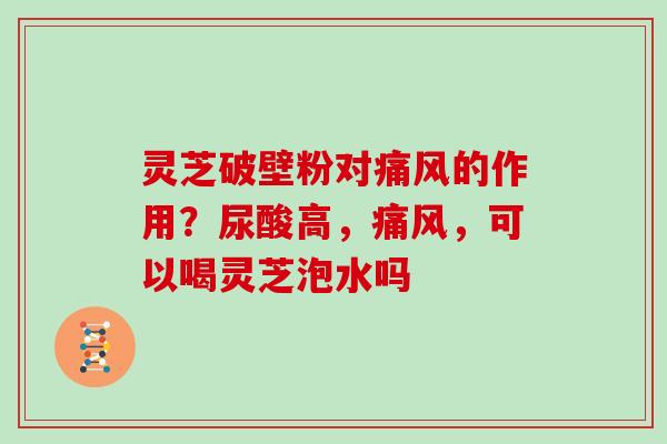 灵芝破壁粉对痛风的作用?尿酸高,痛风,可以喝灵芝泡水吗