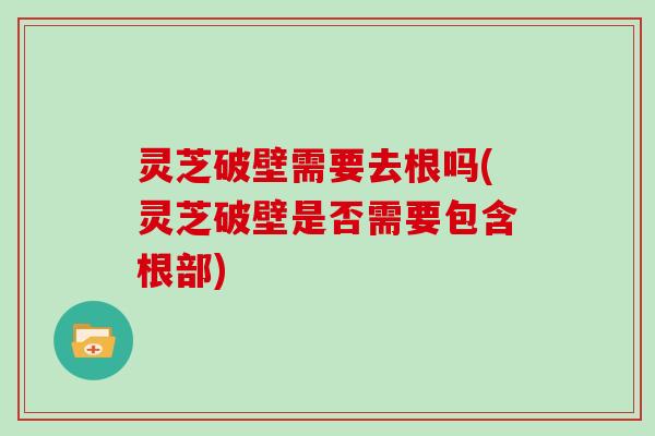 灵芝破壁需要去根吗(灵芝破壁是否需要包含根部)