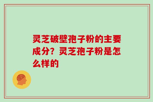灵芝破壁孢子粉的主要成分?灵芝孢子粉是怎么样的