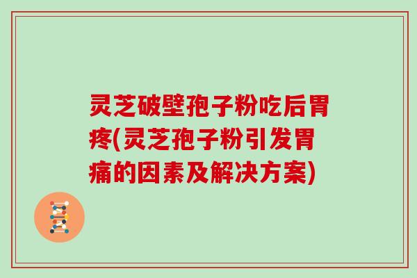 灵芝破壁孢子粉吃后胃疼(灵芝孢子粉引发胃痛的因素及解决方案)