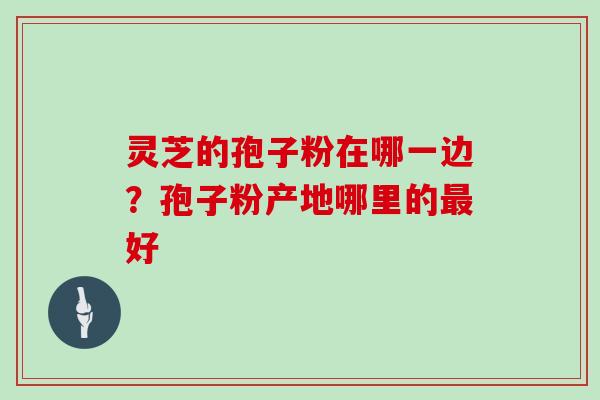 灵芝的孢子粉在哪一边？孢子粉产地哪里的最好