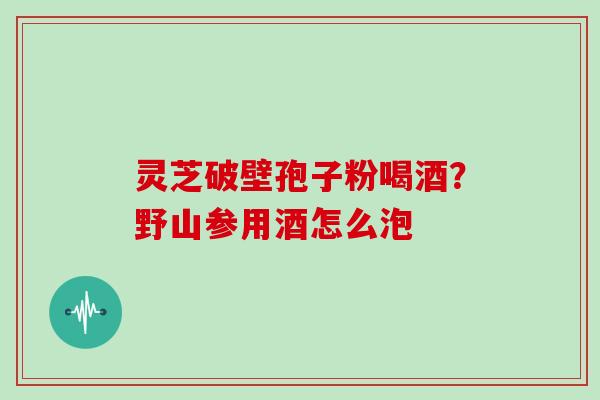 灵芝破壁孢子粉喝酒？野山参用酒怎么泡