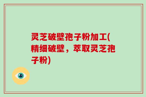 灵芝破壁孢子粉加工(精细破壁,萃取灵芝孢子粉)