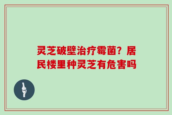 灵芝破壁治疗霉菌?居民楼里种灵芝有危害吗