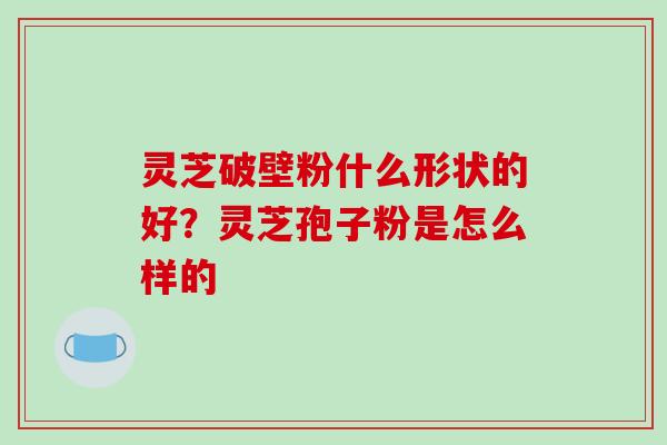 灵芝破壁粉什么形状的好?灵芝孢子粉是怎么样的