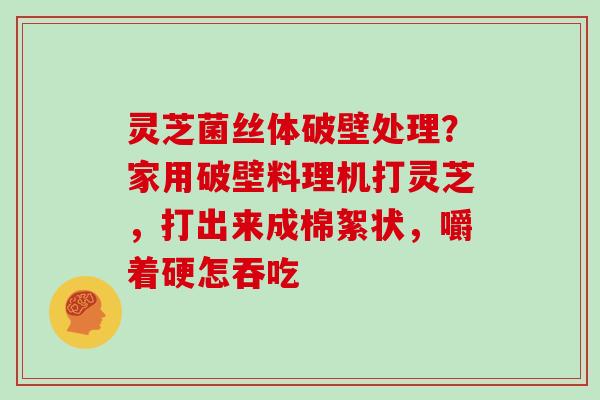 灵芝菌丝体破壁处理?家用破壁料理机打灵芝,打出来成棉絮状,嚼着硬怎吞吃