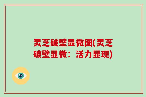 灵芝破壁显微图(灵芝破壁显微:活力显现)
