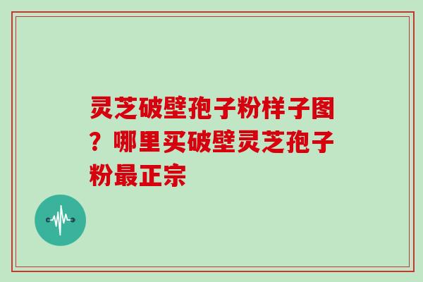 灵芝破壁孢子粉样子图?哪里买破壁灵芝孢子粉最正宗